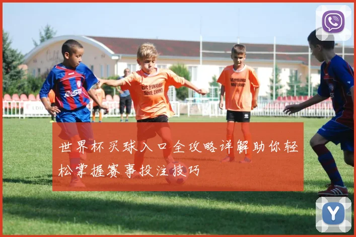 世界杯买球入口全攻略详解助你轻松掌握赛事投注技巧
