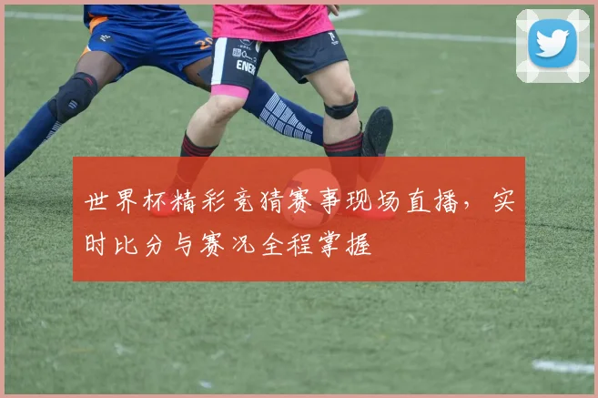 世界杯精彩竞猜赛事现场直播，实时比分与赛况全程掌握