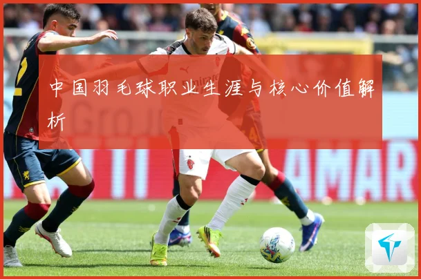 中国羽毛球职业生涯与核心价值解析