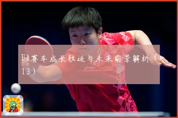 F1赛车成长轨迹与未来前景解析（13）
