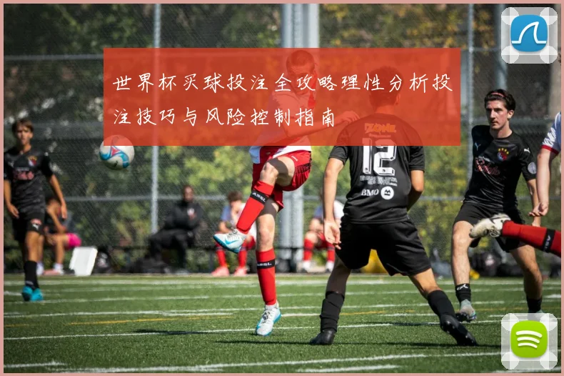 世界杯买球投注全攻略理性分析投注技巧与风险控制指南