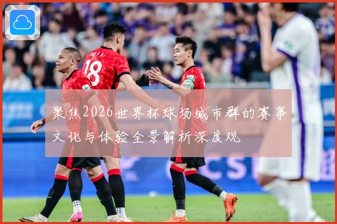 聚焦2026世界杯球场城市群的赛事文化与体验全景解析深度观