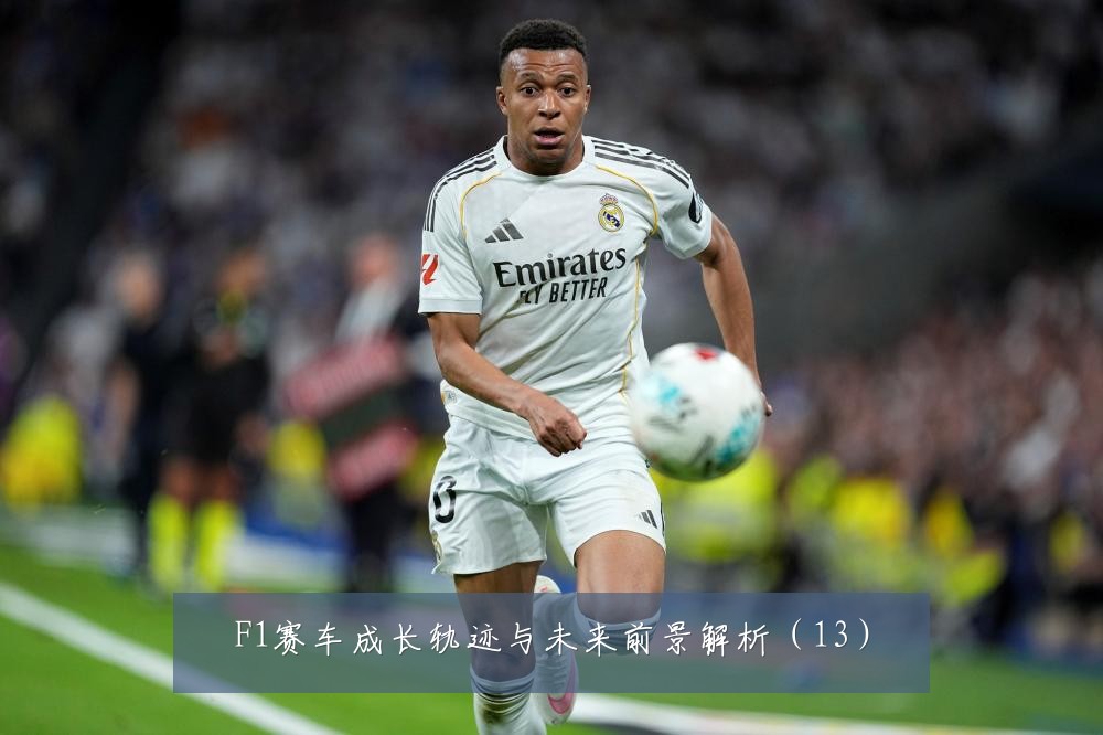 F1赛车成长轨迹与未来前景解析（13）